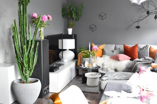 The interior design of Maren Baxter via @marenbaxter on Instagram