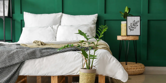 Sage Green Bedroom Ideas