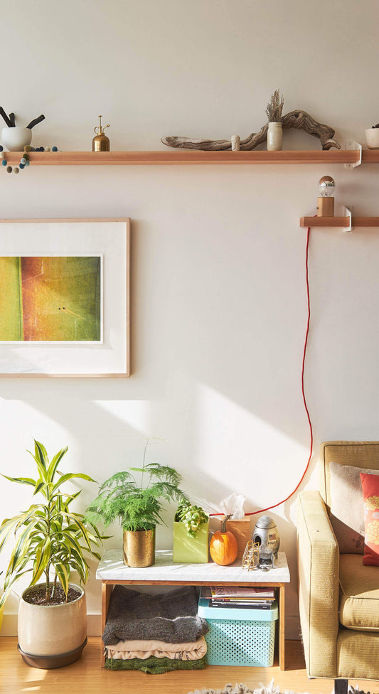 Here's how to decorate if you're renting.