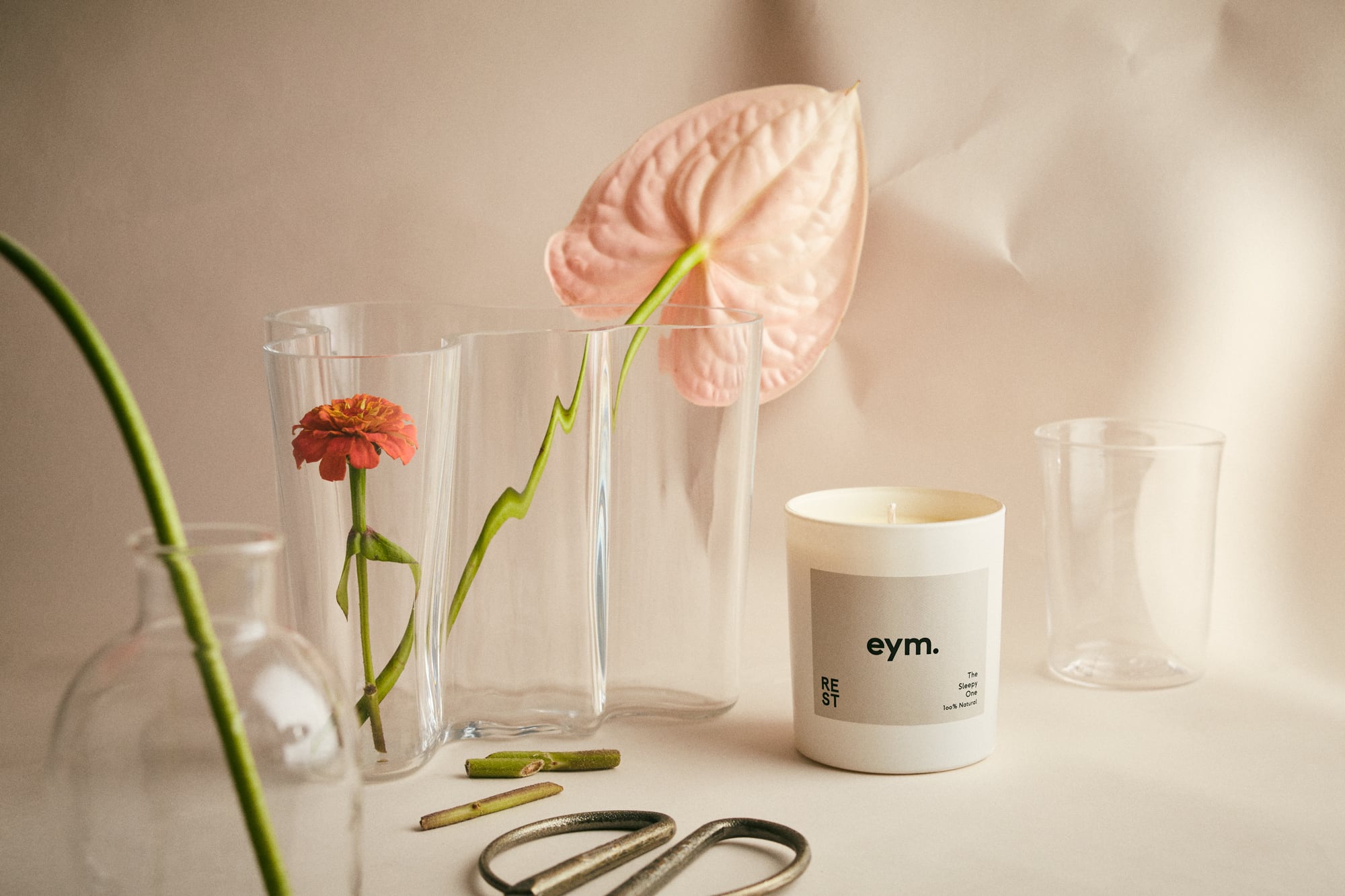 Rest Standard Candle