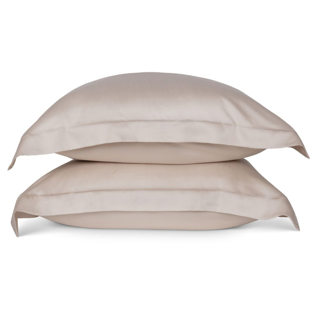 Sleepyhead Eucalyptus Silk Pillow Set in Grey