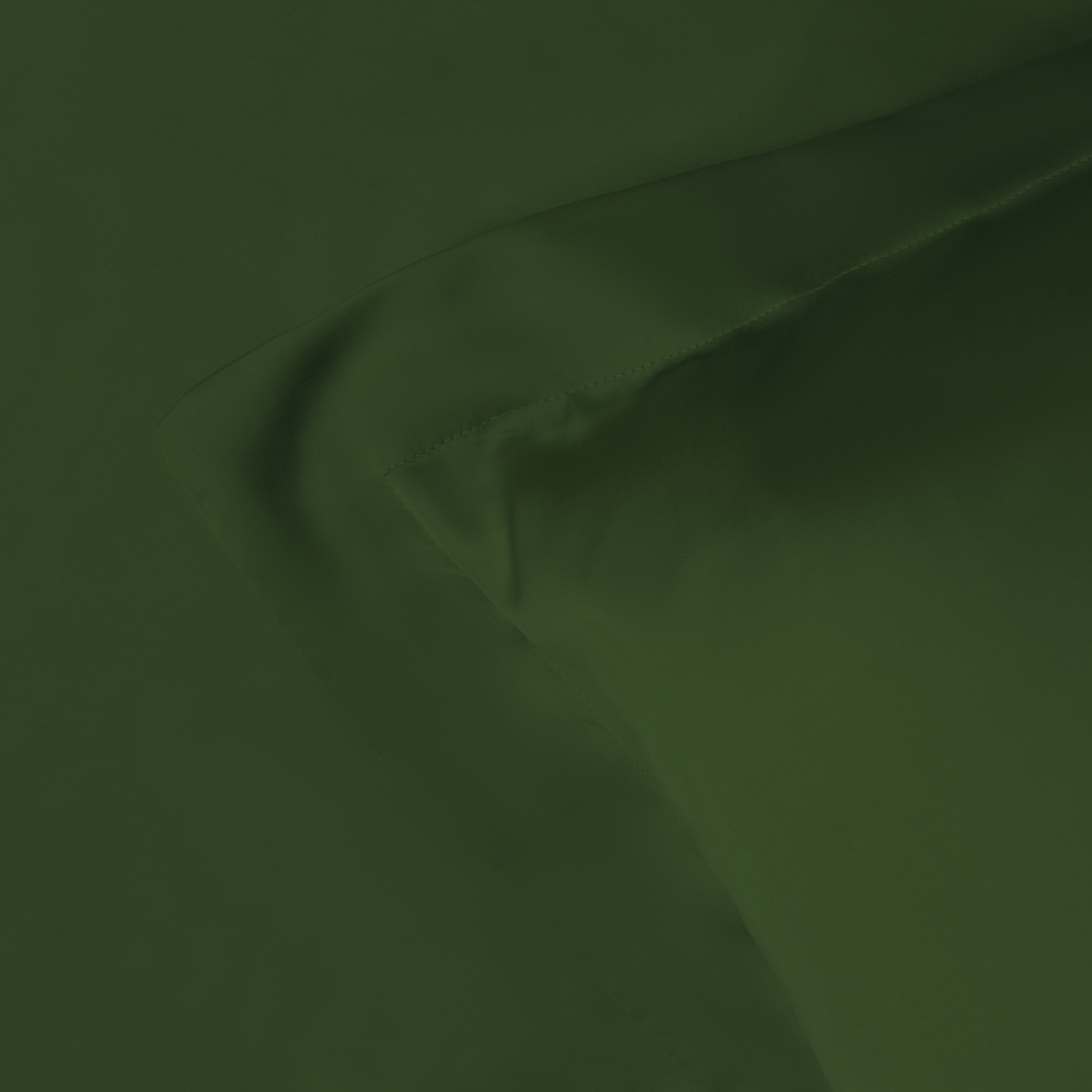 Eucalyptus Silk Pillowcase Pair in Forest Green