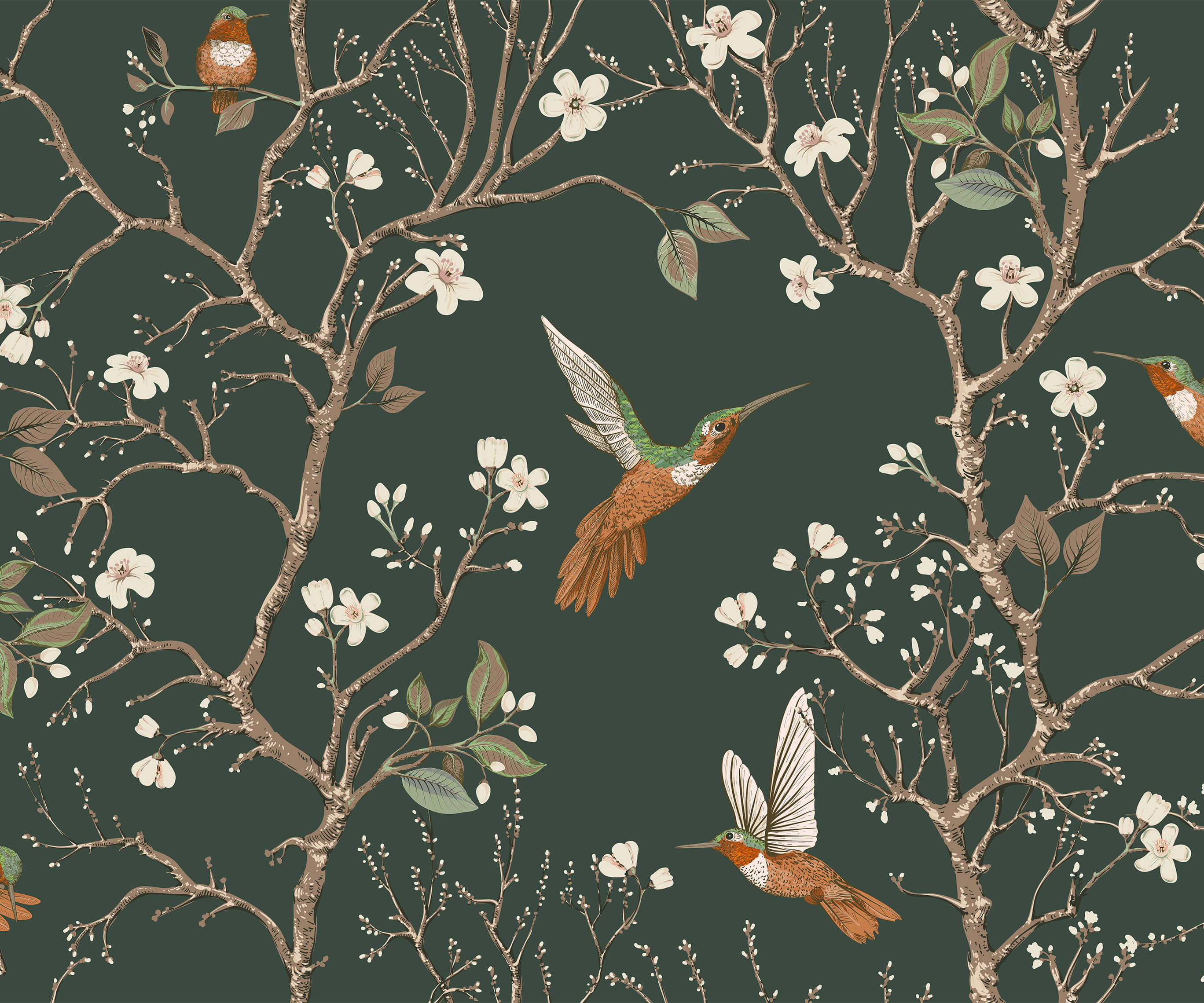 Bronte Hummingbird and Tree Branch Wallpaper
