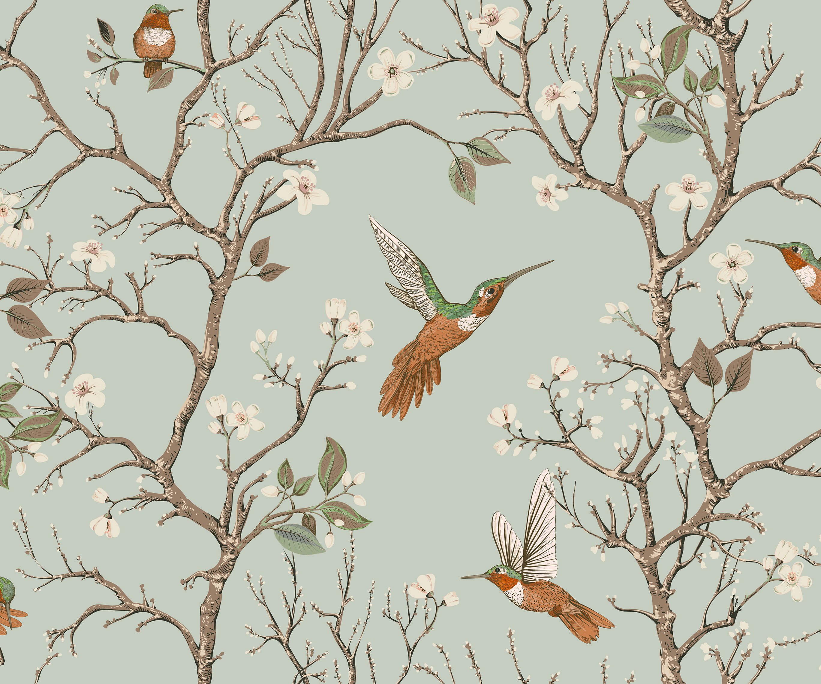 Bronte Hummingbird and Tree Branch Wallpaper