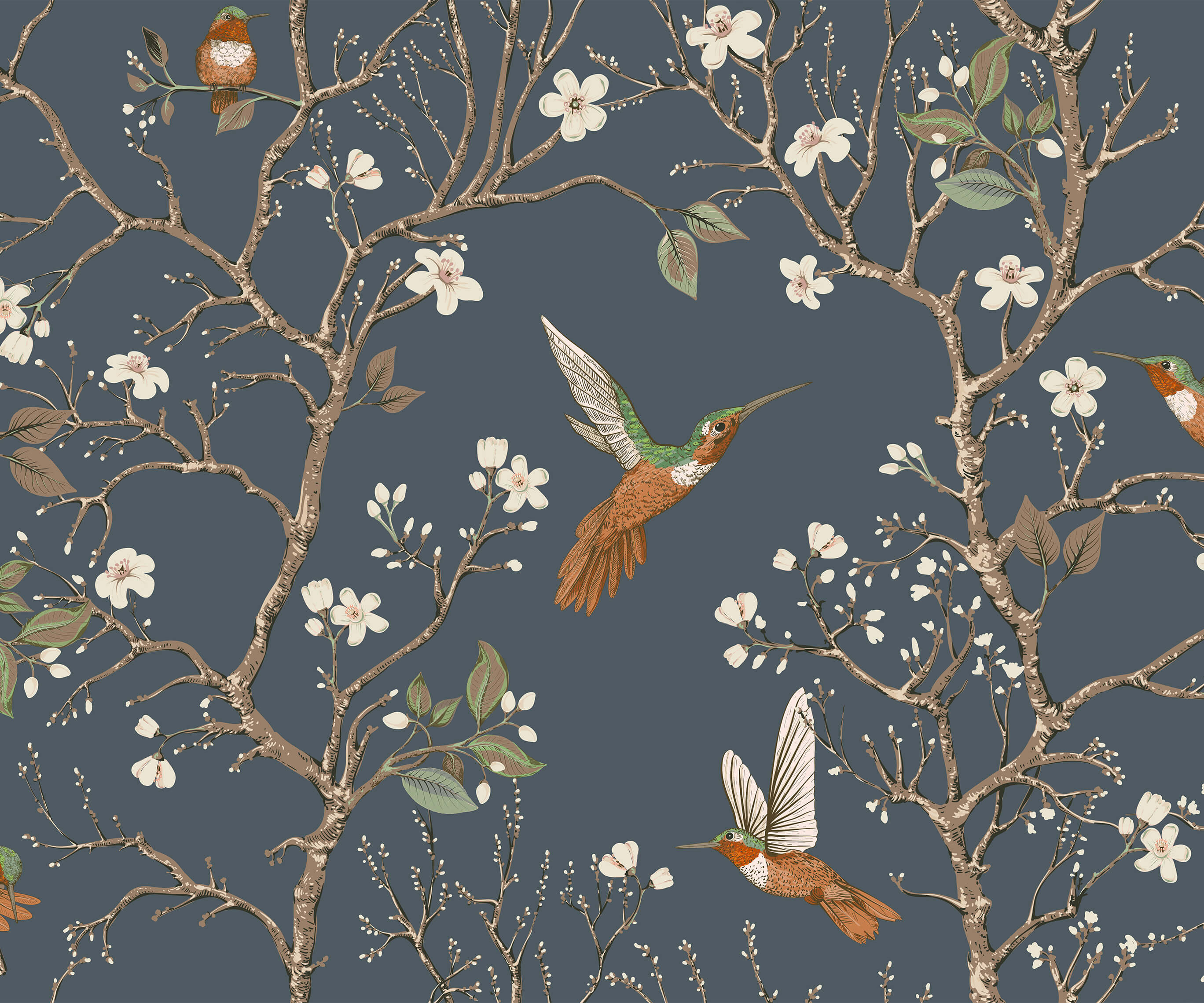 Bronte Hummingbird and Tree Branch Wallpaper