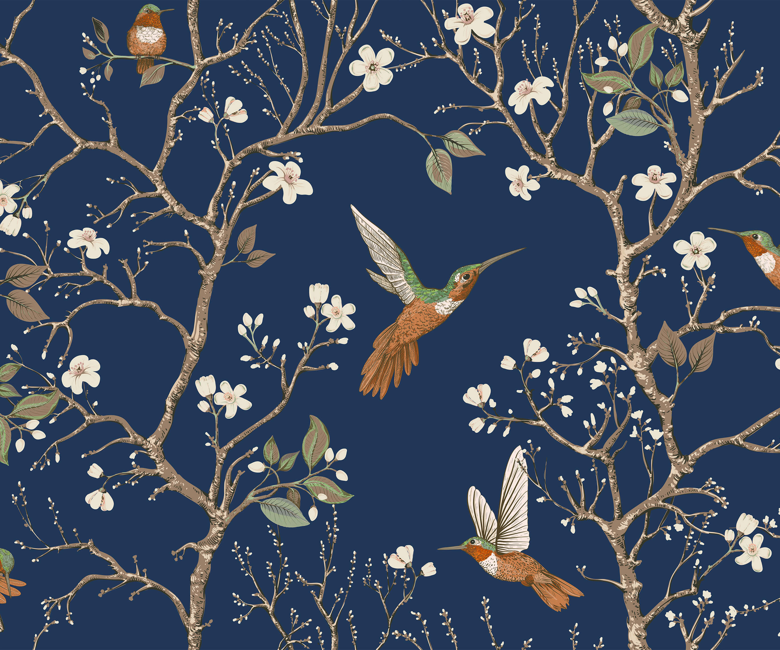 Bronte Hummingbird and Tree Branch Wallpaper