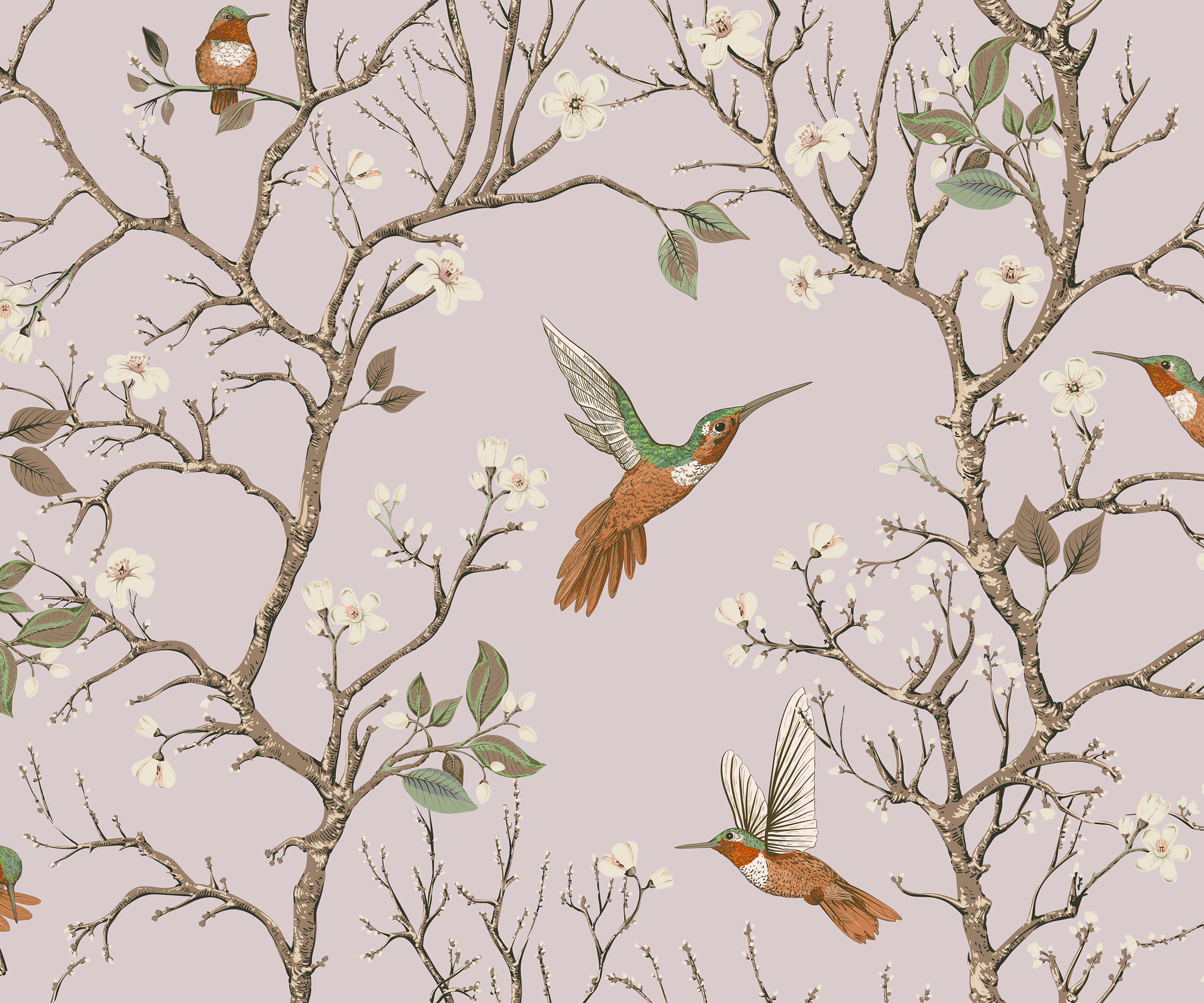 Bronte Hummingbird and Tree Branch Wallpaper