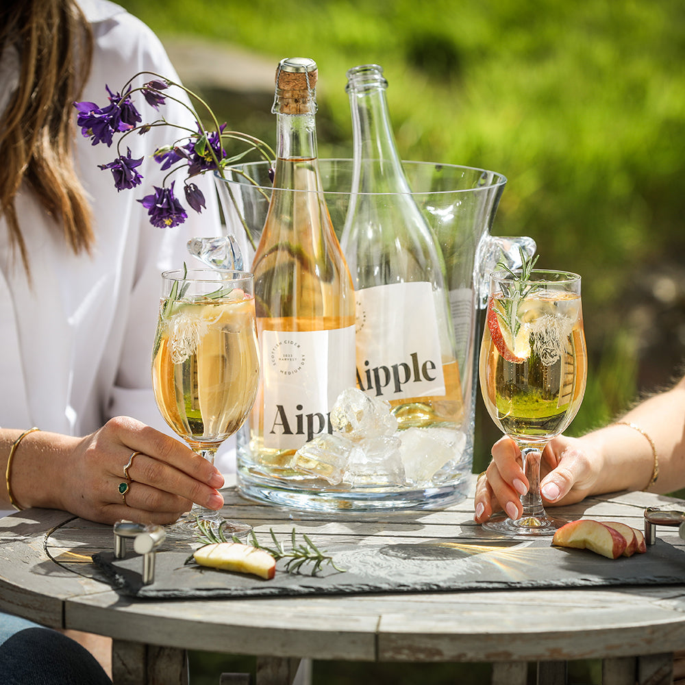 Highland Cow Craft Beer Glasses - Set of 2