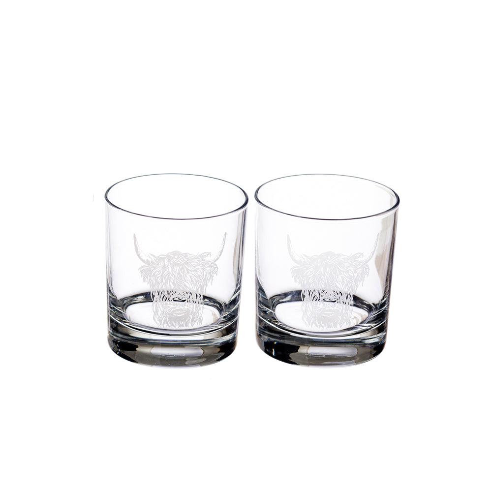 Highland Cow Glass Tumblers - Set of 2