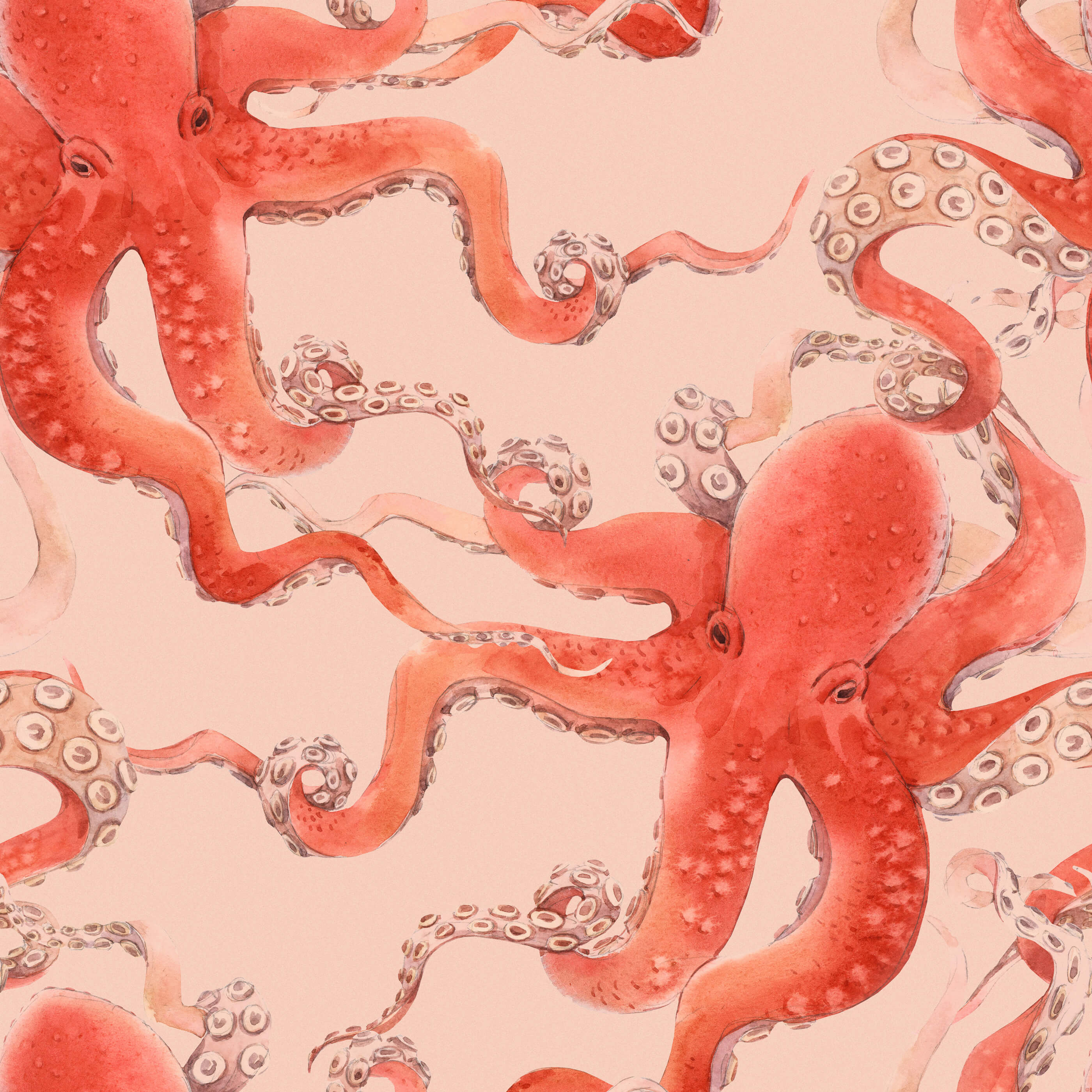 Kos Red Octopus Wallpaper