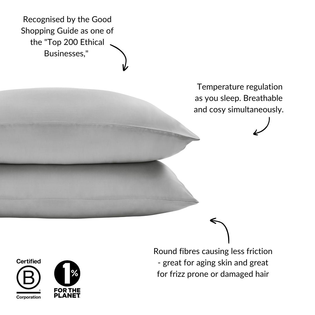 Eucalyptus Silk Pillowcase Pair in Grey