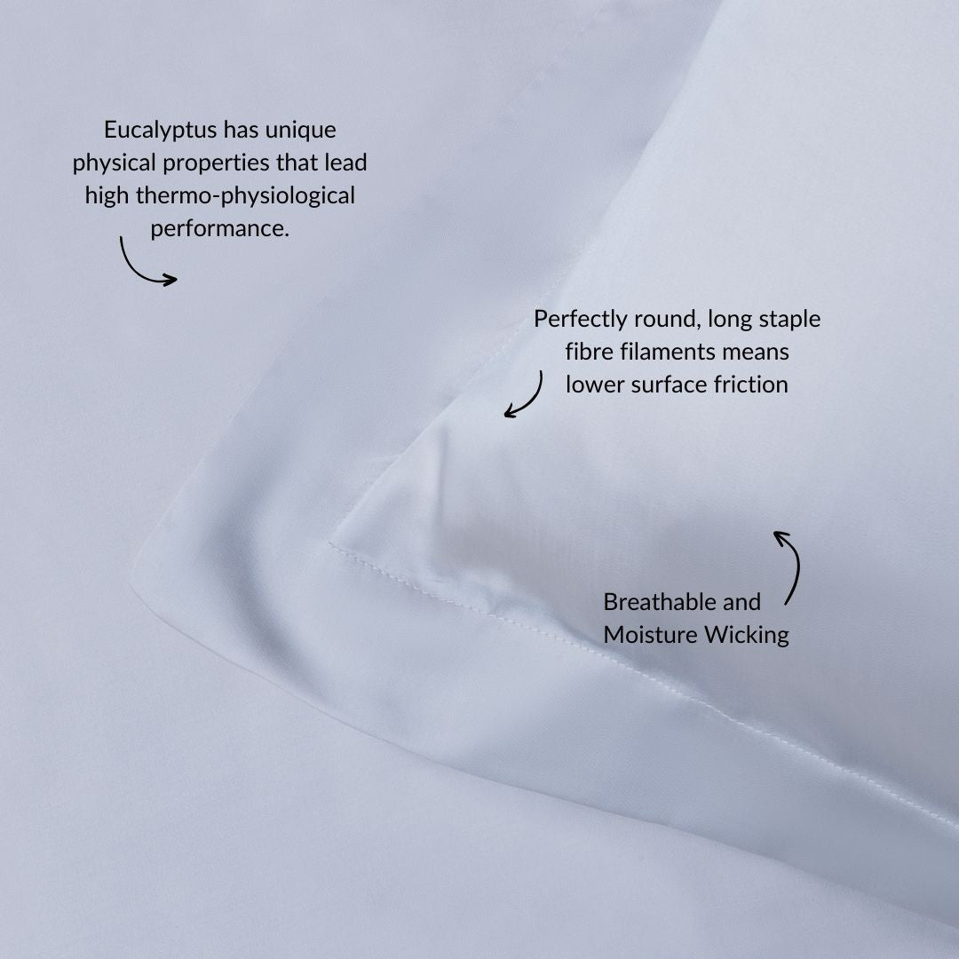 Eucalyptus Silk Pillowcase Pair in Sky Blue