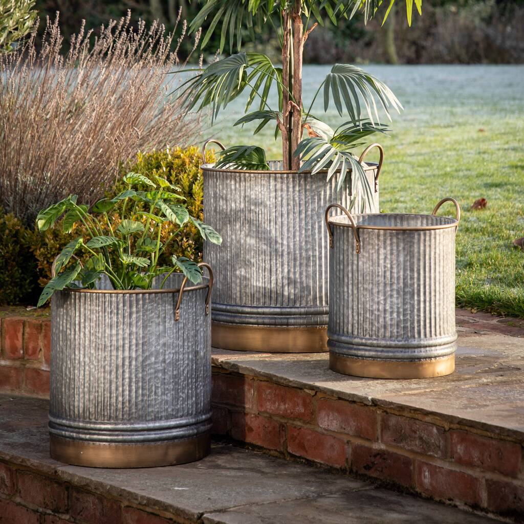 Galvanised iron ribbed planters