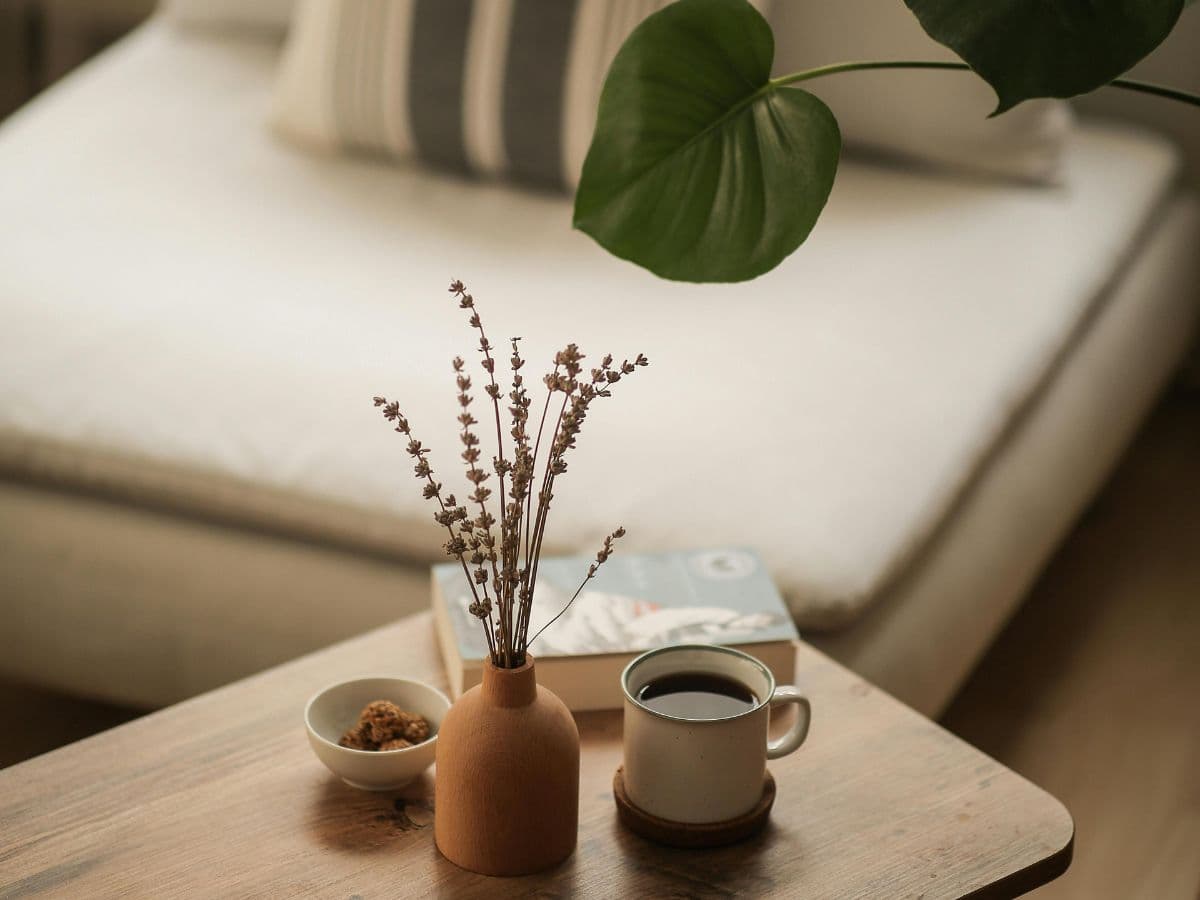 Calm living space with natural elements