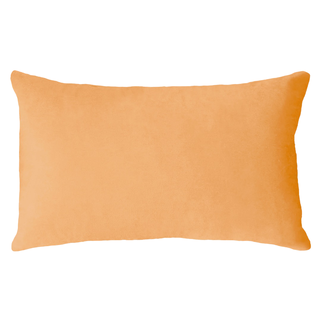 Scorpio Season Needlepoint Cushion