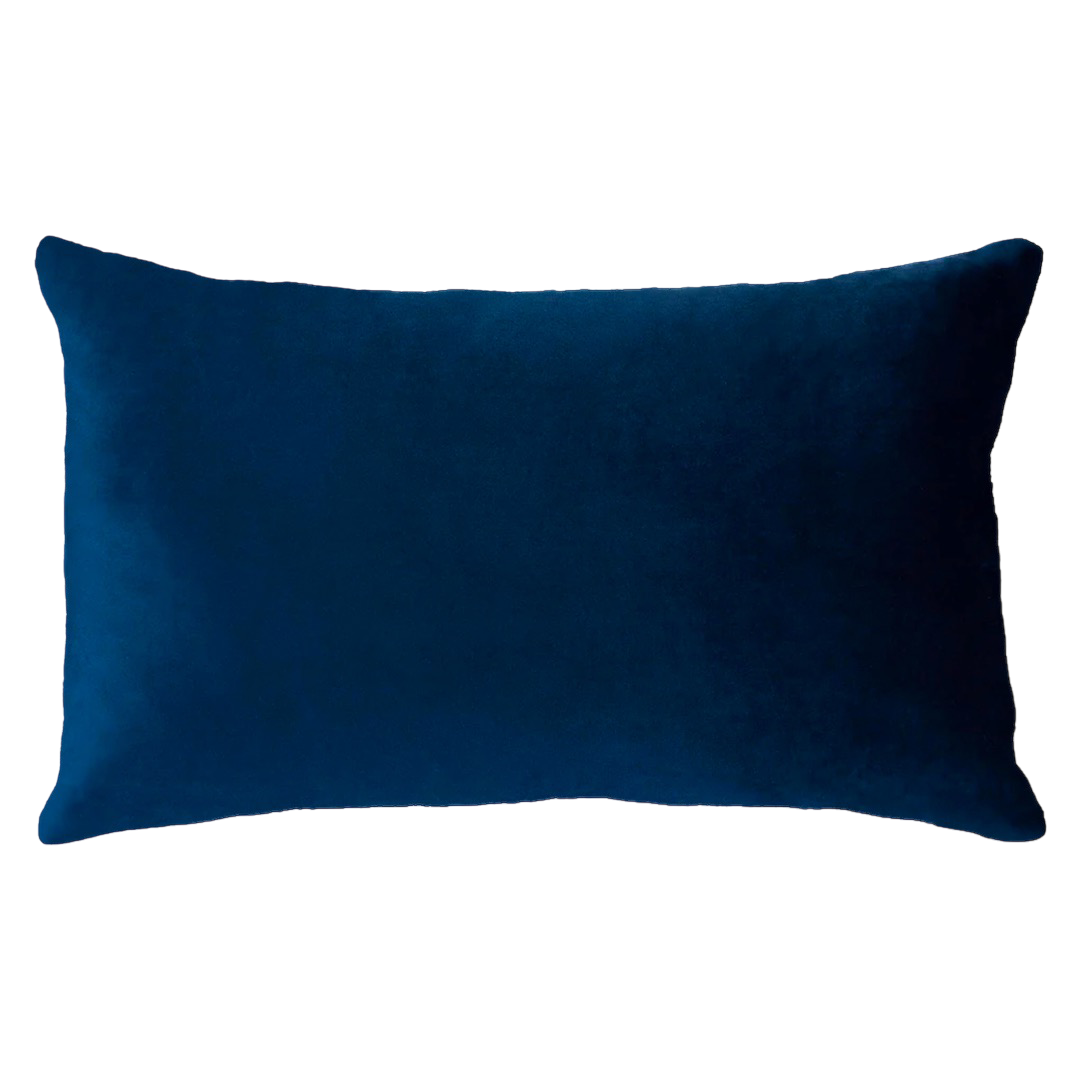 Netflix and Chill Needlepoint Cushion