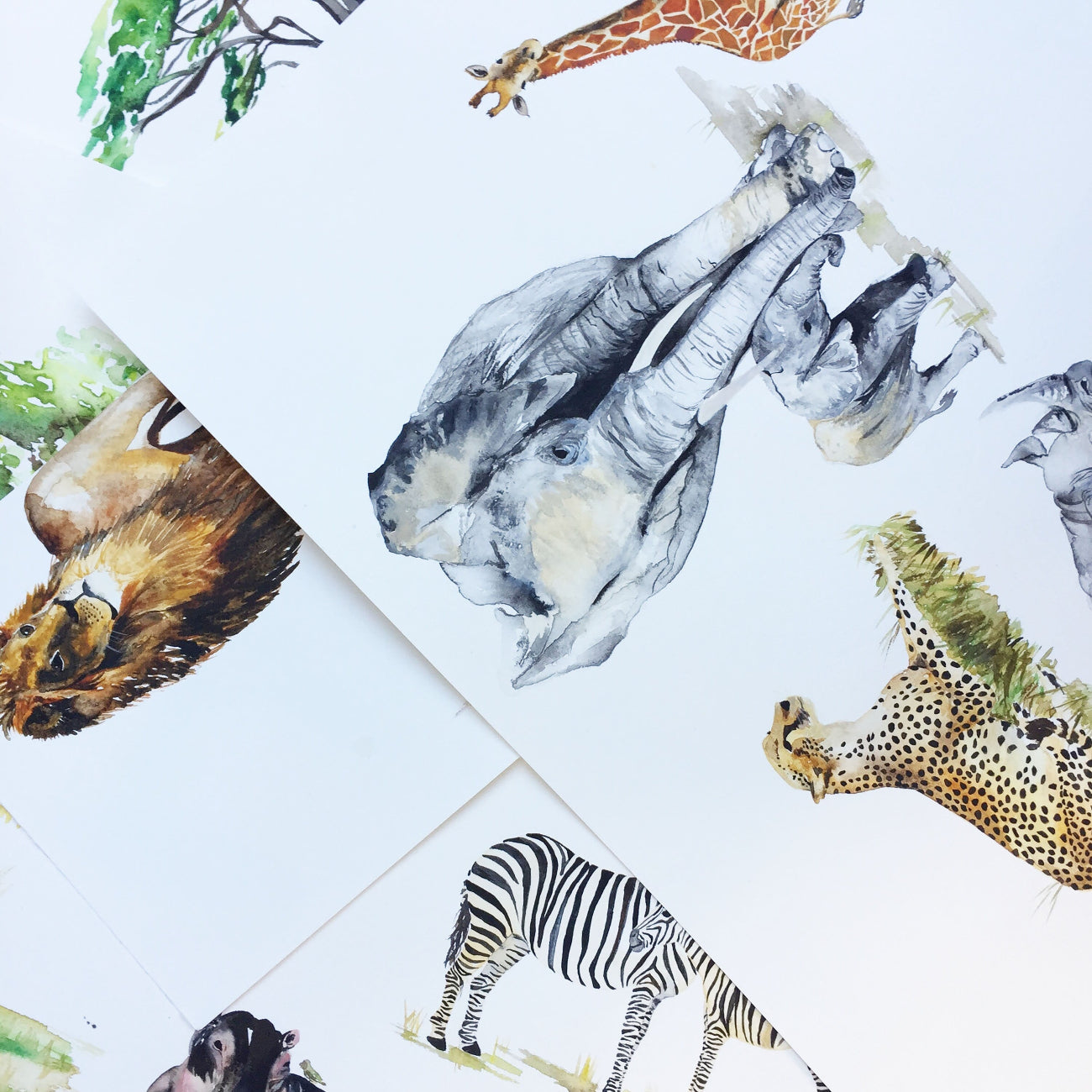 Collage of various African animals on a white background