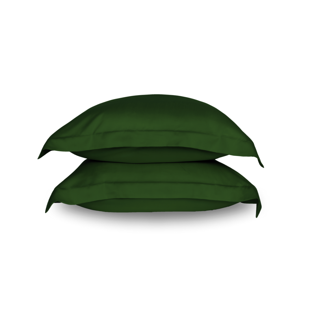 Sleepyhead Eucalyptus Silk Pillow Set in Grey