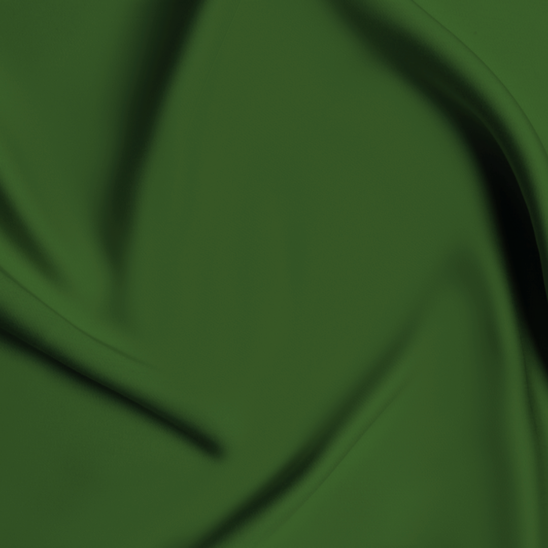 Sleepyhead Eucalyptus Silk Pillow Set in Forest Green