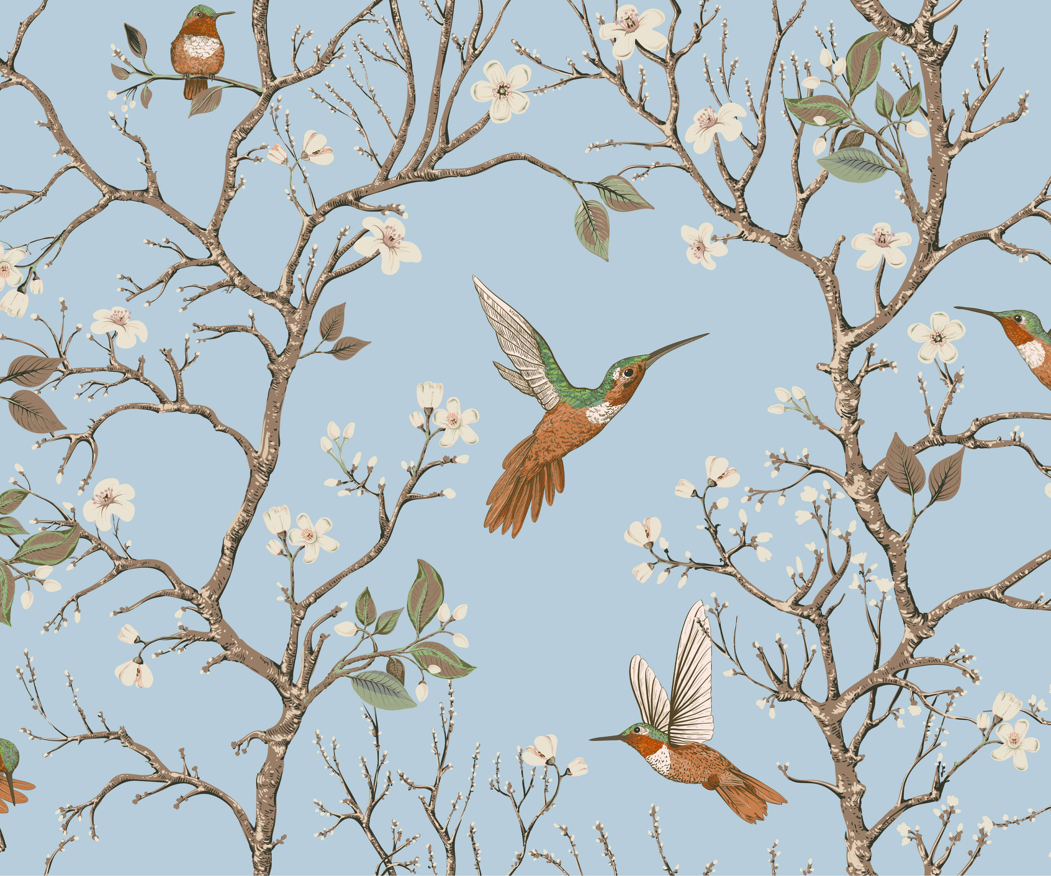 Bronte Hummingbird and Tree Branch Wallpaper