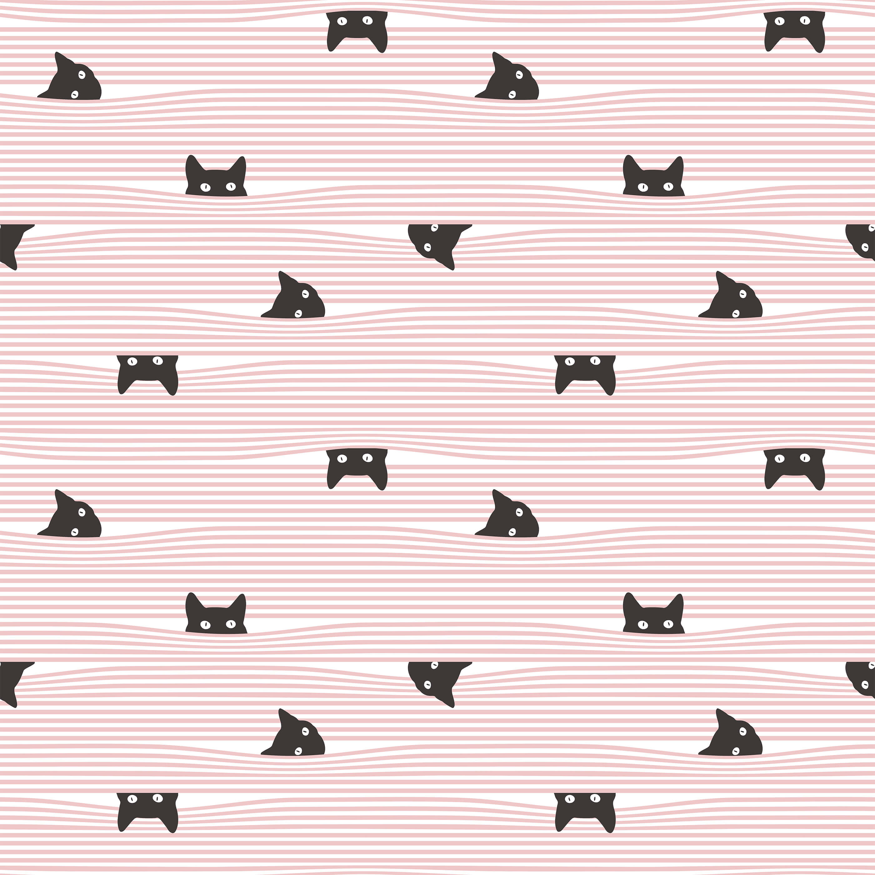 Gato Cat Wallpaper