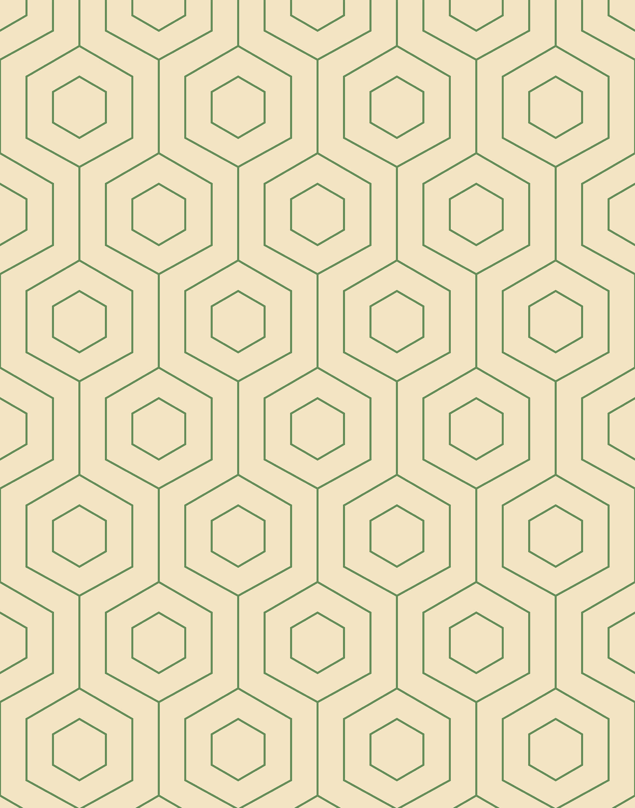 Hive Hexagonal Line Wallpaper