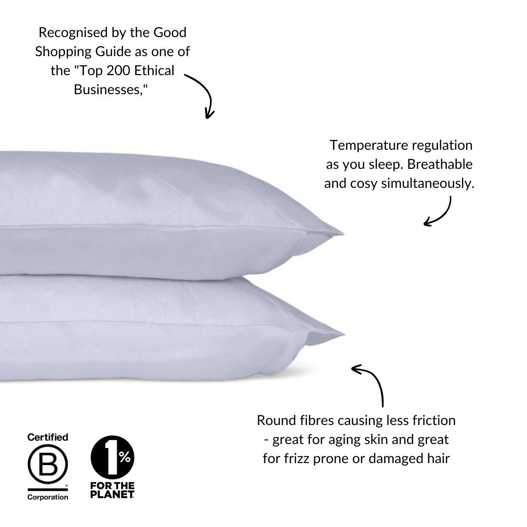 Eucalyptus Silk Pillowcase Pair in Sky Blue